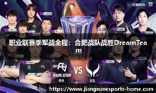 职业联赛季军战全程：合肥战队战胜DreamTeam